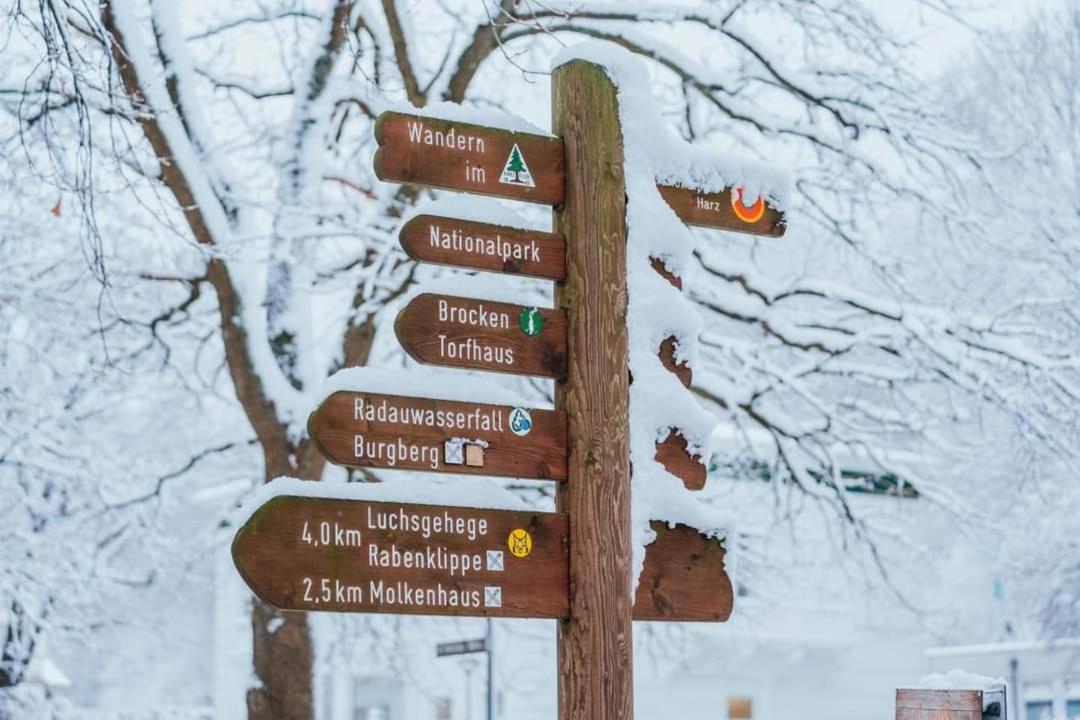 Ferienwohnung Reese- Horstmann Mit Hallenbad Und Sauna, Wlan "Harz Zu Jeder Jahreszeit" Bad Harzburg Exterior photo